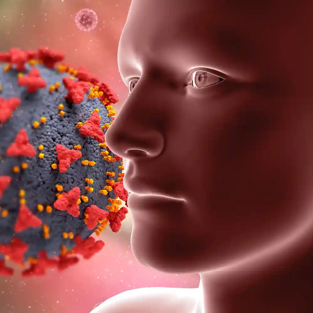 Human Metapneumovirus (HMPV): The Rising Threat in 2025